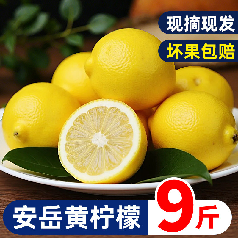 四川安岳黄柠檬新鲜水果精选一级皮薄当季鲜果奶茶店专用大果商用