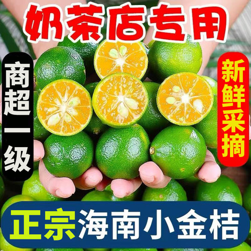 海南小金桔青桔新鲜青柠檬皮薄应当季水果青柑奶茶店专用柠檬新鲜
