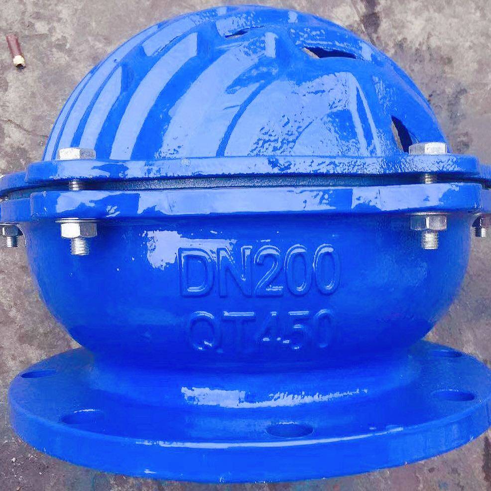 H42X-10球墨铸铁底阀蓝色法兰水泵底阀抽吸水阀3寸4寸6寸DN80 100