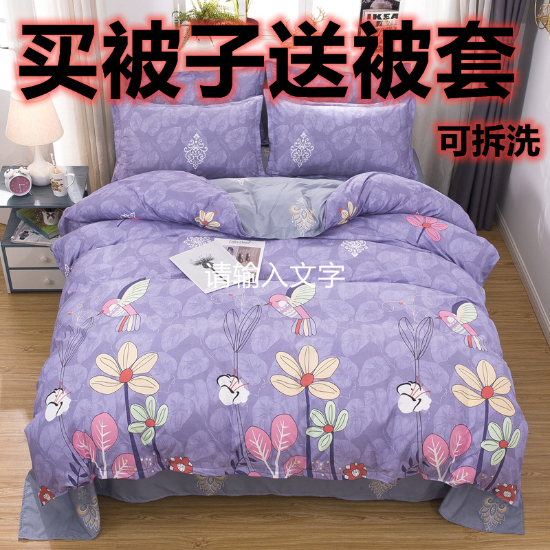 被子被芯送亲肤被套夏被薄款冬季加厚保暖单人双人宿舍家用可拆洗