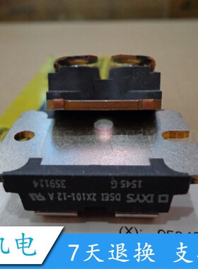 全新 DSEI2X101-06A DSEI2X101-12A 进口模块 欢迎咨询