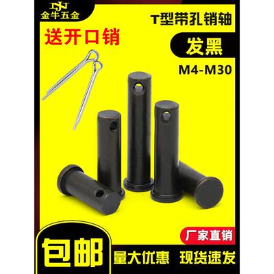 Gb882黑平头带孔销t形销定位销M4M5M6M8M10M12M14M30