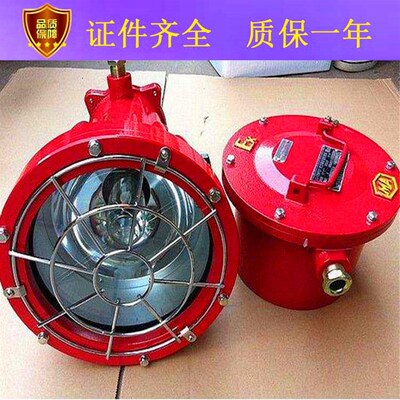 DGS175/127B(C) 矿用隔爆型投光灯,矿用175W投光灯