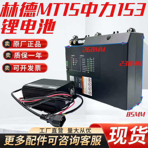 林德MT15电动叉车锂电池充电器