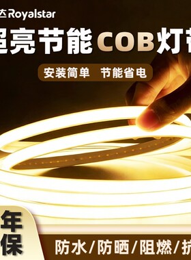荣事达cob灯带新型led灯条超亮220v户外防水照明高压氛围2026年款