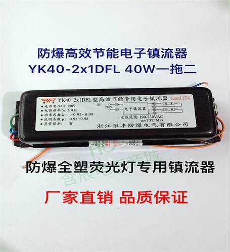 厂家直销防爆电子镇流器 YK40-2x1DFL高效节能单脚专用电子镇流器