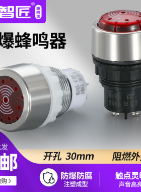 YH8050防爆蜂鸣器30MM防爆声光金属报警灯AC220V24v红黄色YH8030