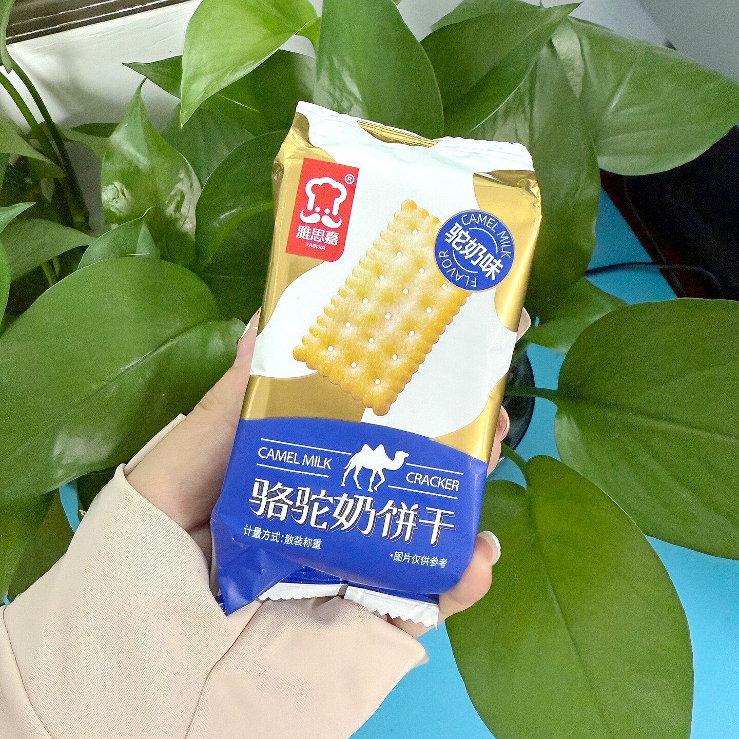雅思嘉骆驼奶饼干芝士咸蛋黄苏打葱油薄脆饼干休闲下午茶饼干整箱