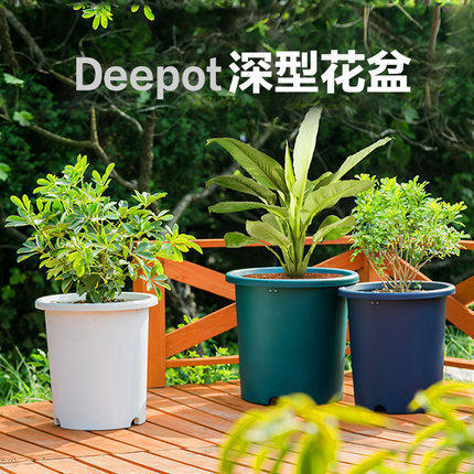 爱丽思彩色Deepot浅型月季铁线莲花盆树脂花盆爱丽丝塑料加仑花盆