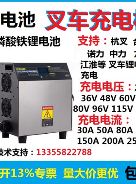 池电动叉车充电机24V48V72V80V杭叉合力龙工诺力中力支持匹配