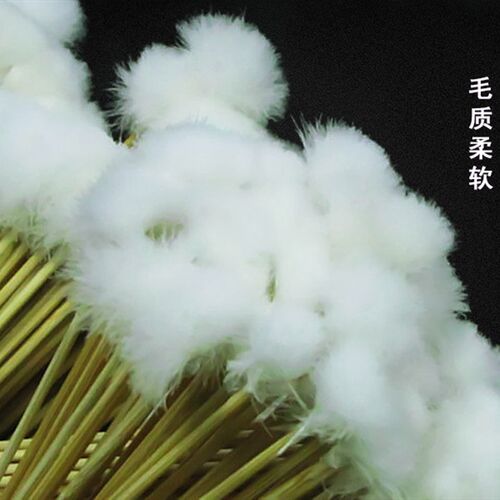 鹅毛棒 竹棒 专业采耳工具 掏耳 挖耳朵 洁耳工具 羽毛棒 扫耳棒