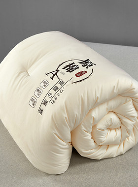 新款原棉大豆纤维被a类薄被子3斤三斤220x240春秋被4斤5斤6斤被芯