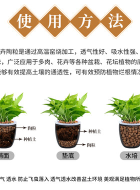 陶粒垫底碳球花卉盆栽多肉兰花铺面石防烂根透气回填卫生间包邮