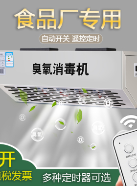 壁挂式臭氧发生器消毒机食品厂车间垃圾分类房商用10g20g除臭杀菌