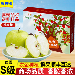 甘肃正宁高原瑞雪苹果当季新鲜现摘苹果纯甜无酸商超甄选整箱装