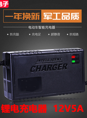 12伏V5A安10磷酸铁锂三元聚合物池充电器12.6V14.6V16.8V20AH