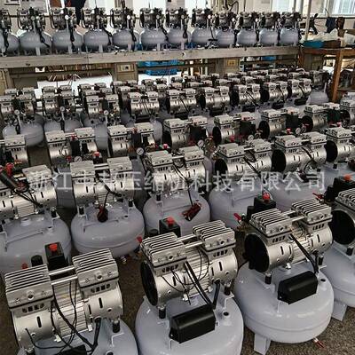 DCZW0.055/7-T9DC特种高温70摄氏度厂家直流无油空压机ding