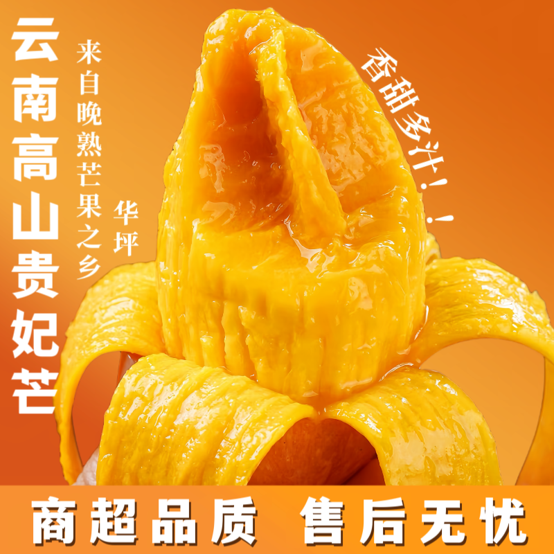 云南丽江高山贵妃芒现摘香甜多汁