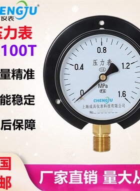 上海成具仪表Y-100T径向带边压力表0-1.6MPA船用面板式气压水压表