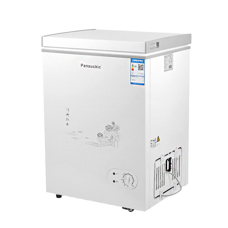 厂家直销BD/BC-101家用商用单温单开门冰柜小型保鲜冷藏两用