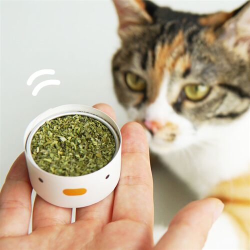元気喵丨猫薄荷粉纯叶化毛营养解压自嗨天然猫咪零食罐装助消化