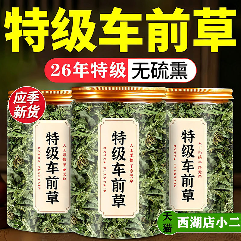 车前草中药材正品官方旗舰店干货野生新鲜车前草干泡水喝泡养生茶