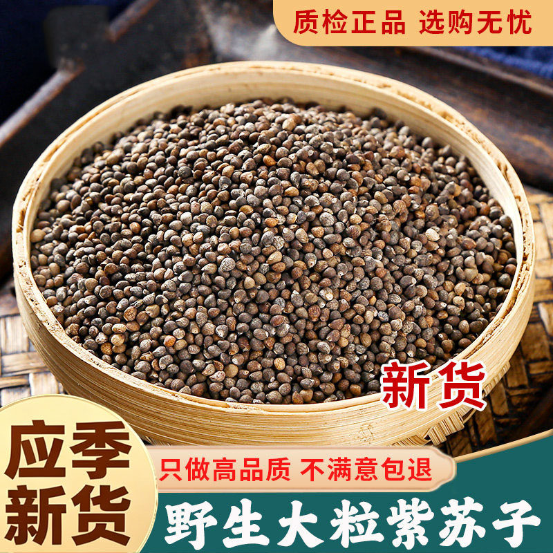 紫苏子中药材正品旗舰店紫苏籽可食用炒熟苏子可磨粉莱菔子白芥子