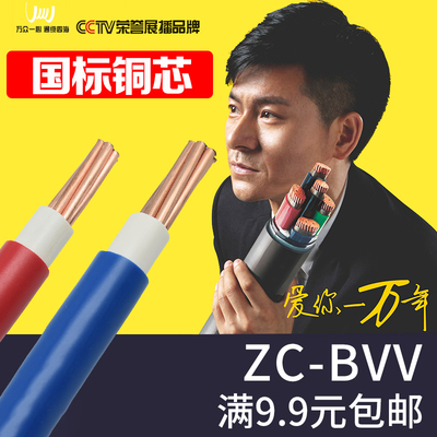 家装入户线 ZC-BVV10/16/25/35/50/70平方阻燃铜芯国标总进户多股