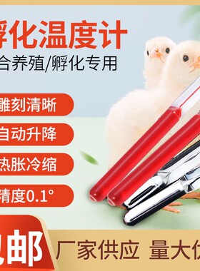 水银红水孵化温度计30-40精度0.1孵化机专用养殖高精密温度计