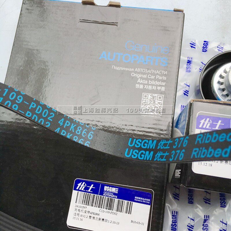 适用于雪佛兰新赛欧1.2发电机苗木固定器/支撑器