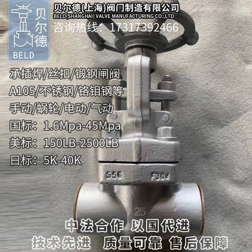 法兰/焊接/丝扣闸阀/Z61H/Z11H-16C-450C/锻钢不锈钢高温高压阀门