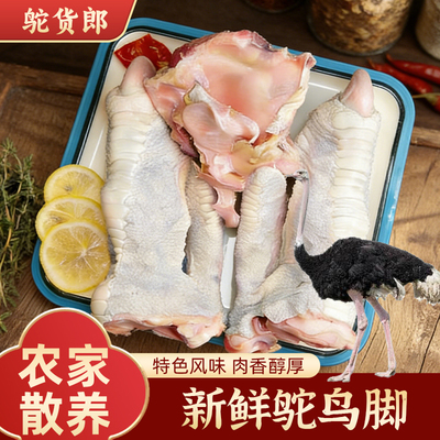 非洲鸵鸟脚掌带筋速冻自家养殖