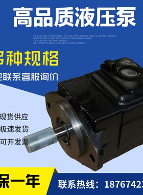 DENISON丹尼逊液压泵T7BS-B03-1R00-A1M1叶片泵T7BS-E15-2R03