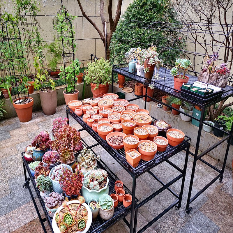 阳台花架伸缩多层双层三层多肉花架室外移动花架带轮遮阳防雨架子