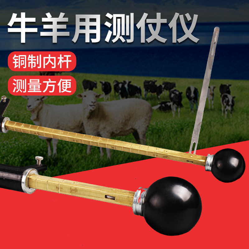 牛羊测杖仪动物测量身高用工具马用畜牧测体型兽用羊测仗器械