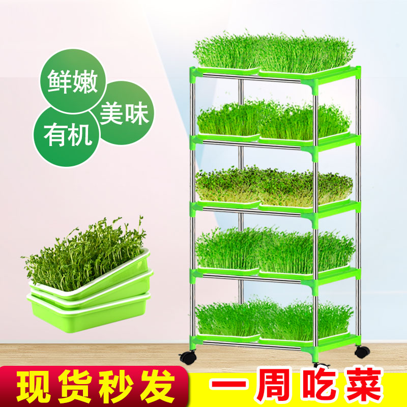 豆芽发芽盆水培蔬菜豌豆芽苗菜种植设备家用无土栽培神器育苗托盘