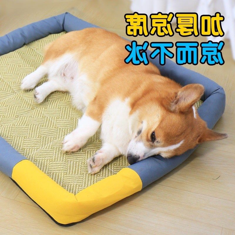 宠物狗狗凉席冰垫夏季睡垫四季柯基不粘毛夏天睡觉用狗窝地垫凉垫