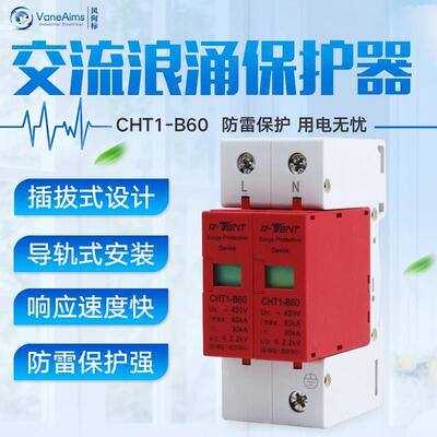 家用防雷器 浪涌保护器 2P 60KA 避雷器 监控防雷器 防雷开关220v