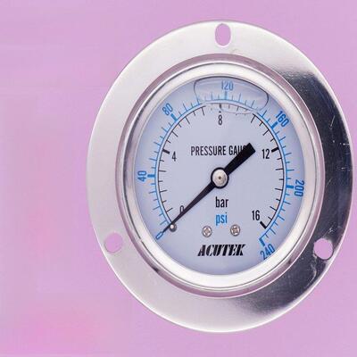 轴向带边 蒸汽 不锈钢耐震压力表YN60BF-ZT 16bar PT1/4 材质304