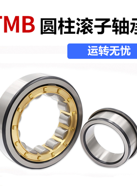 TMB天马圆柱滚子轴承N NJ NU219 220 222 224 226 228 230 232EM
