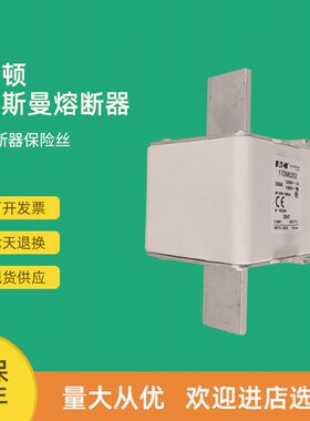 全新快速熔断器保险170M6309 170M6310 170M6311 170M6312