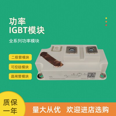 全新功率IGBT模块SKM900GA12E4 SKM400GA12V SKM600GA12V