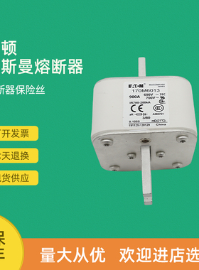 全新快速熔断器保险170M6017 170M6018 170M6019 170M6020
