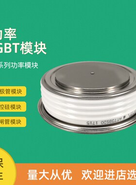 平板可控硅晶闸管T718N12TOF T718N14TOF T718N16TOF T719N12TOF