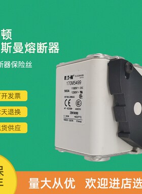 全新快速熔断器保险170M5497 170M5498 170M5499 170M5500