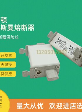 全新快速熔断器保险170M1584 170M1620 170M1621 170M1730