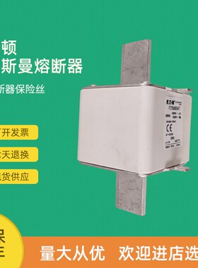 全新快速熔断器保险170M8644 170M8645 170M8646 170M8647