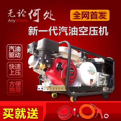 气泵空压机气泵潜水打黄油喷漆修车补胎充气移动供气机车载式汽油