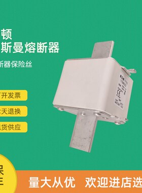 全新快速熔断器保险170M6367 170M6368 170M6376 170M6393