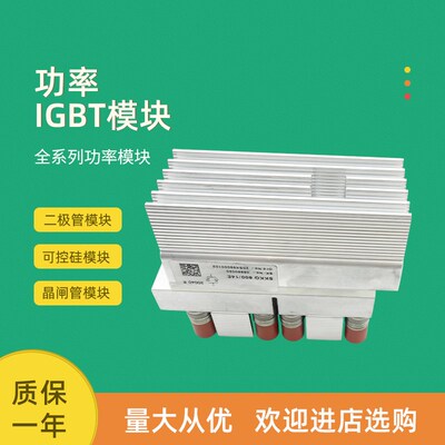 二极管模块全新SKKQ800/SKET800/SKET801/14E 18E 18G H4